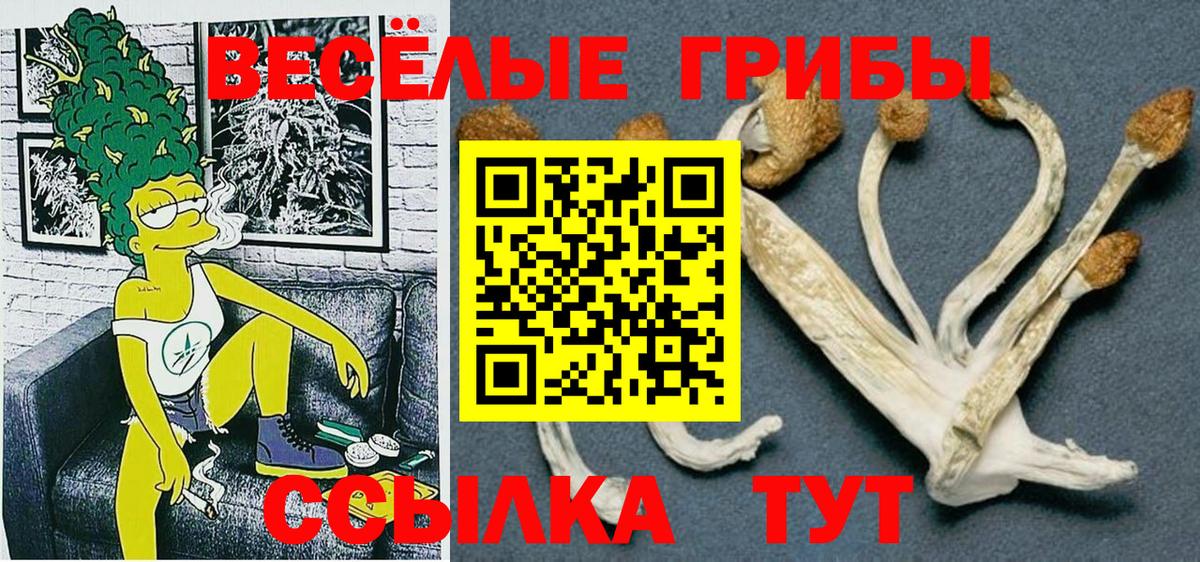 Галлюциногенные грибы мухоморы Сыктывкар